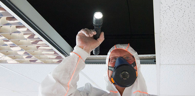Asbestos surveys produce detailed information for the job to be carried out successfully