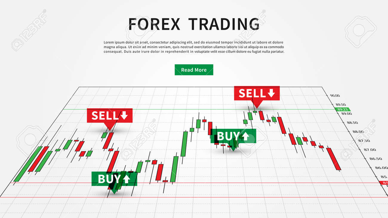 The Forex live signals have the experience to make excellent investments