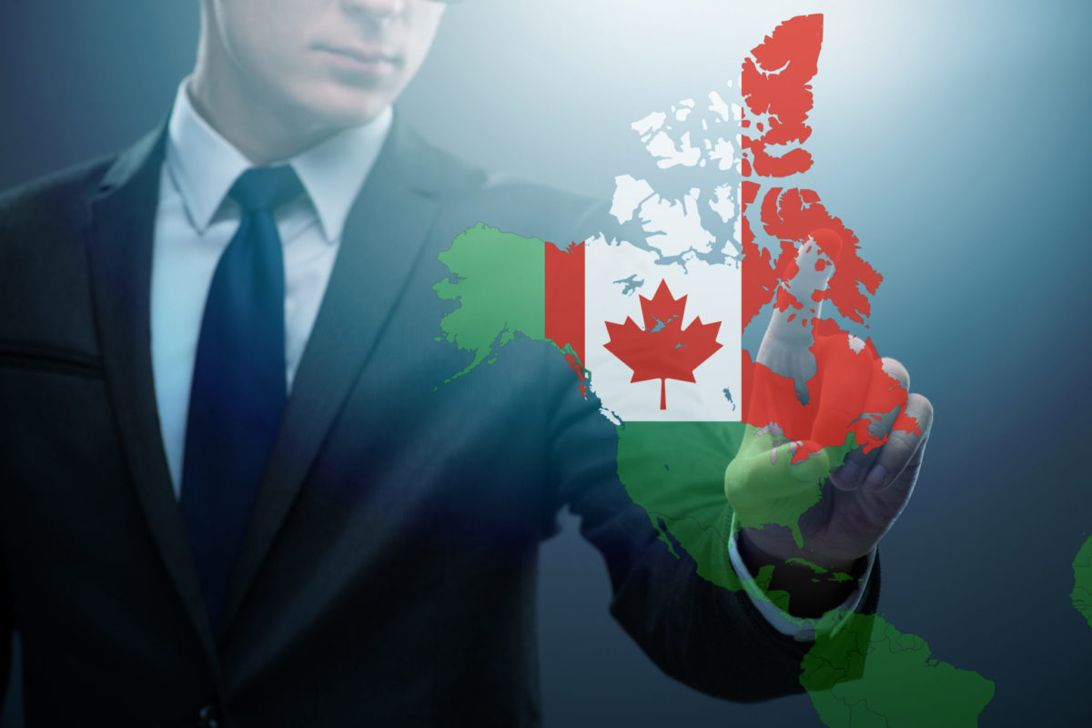 They help foreign investors in the processing of a Canada startup visa