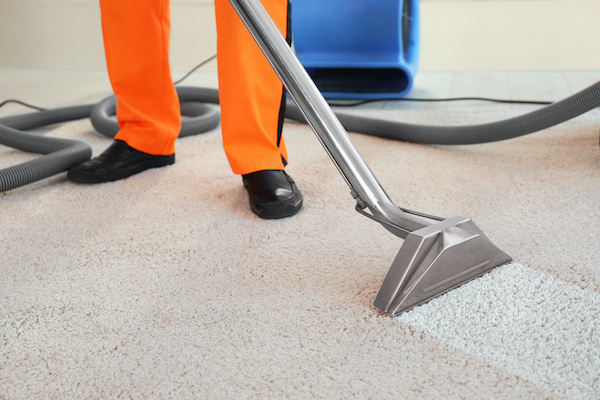 All about the features of Rad Dad Carpet Cleaning Of Murray UT