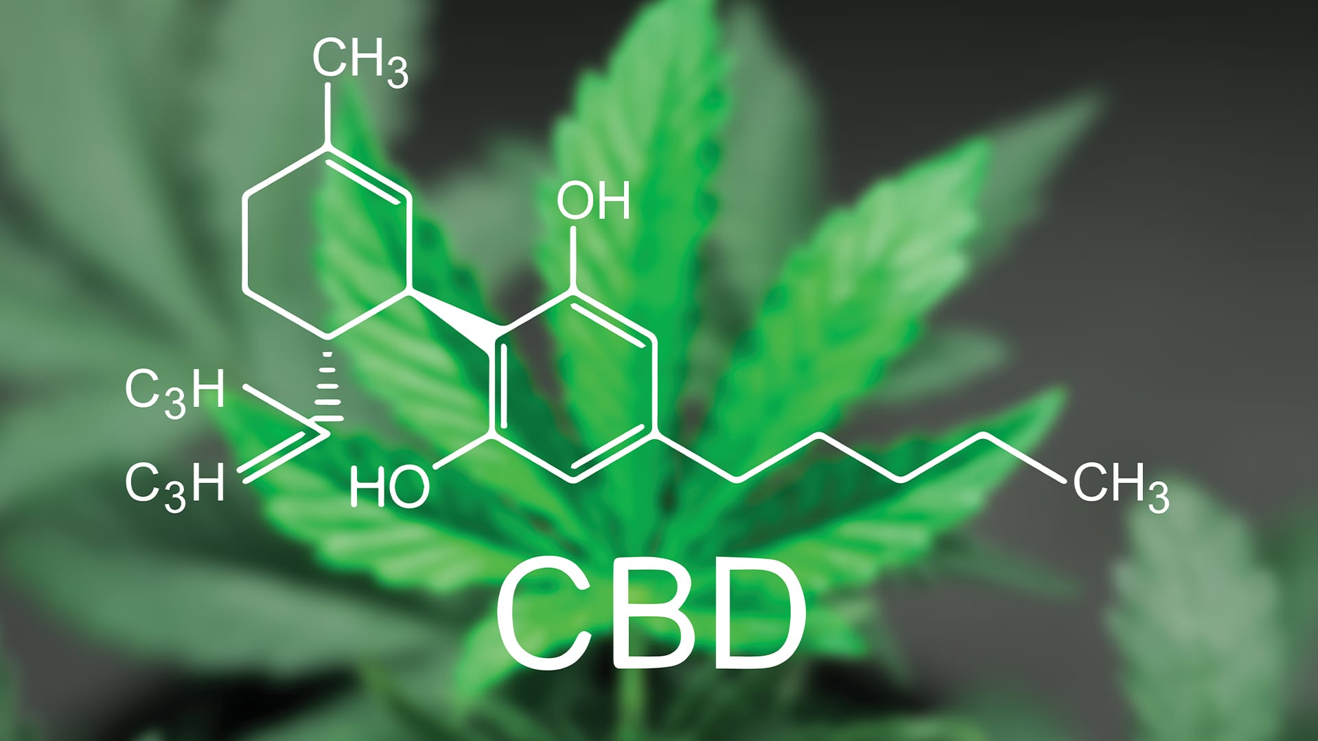 Utilizing CBD Gas for Anxiousness