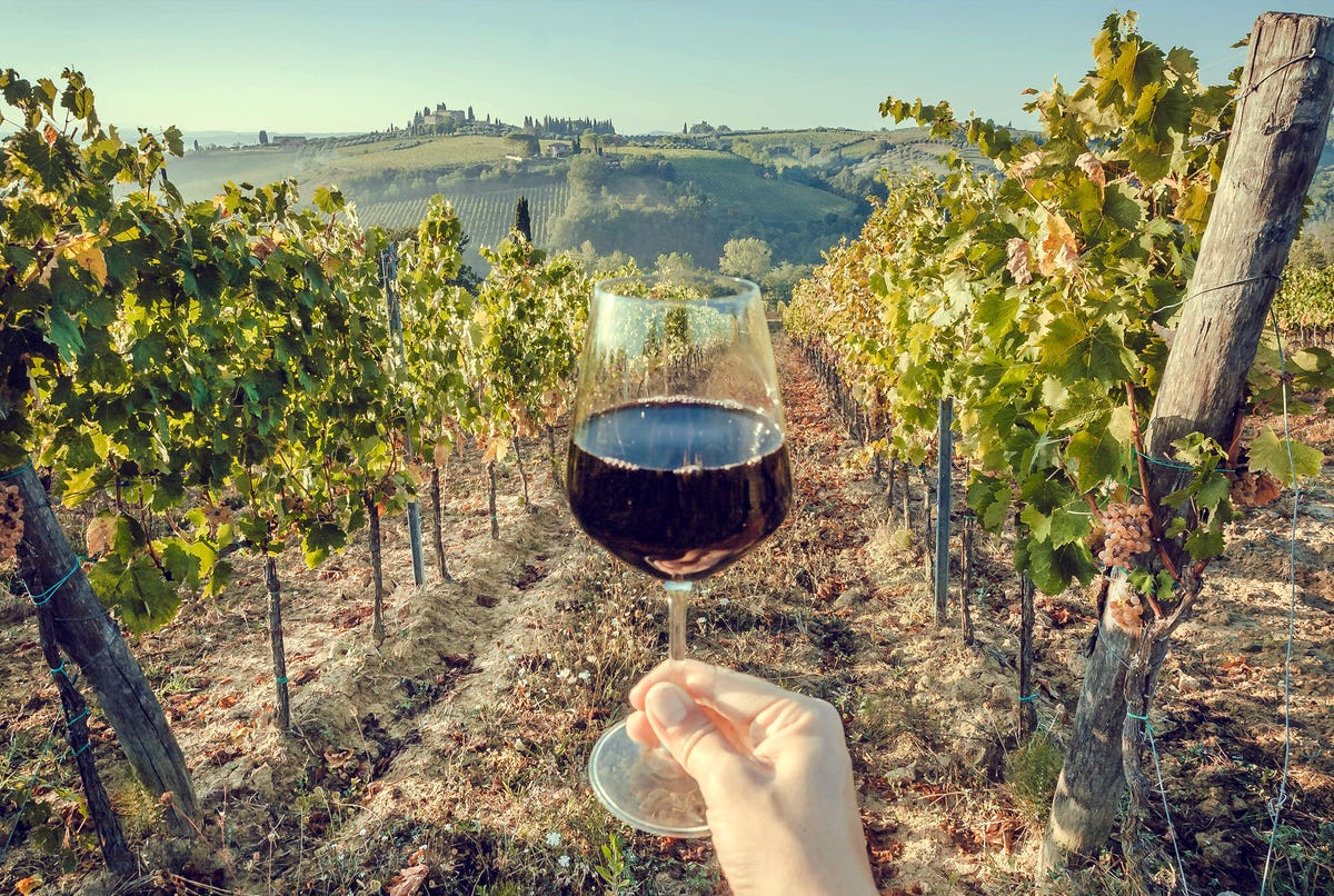 What to expect from Wine Tours?