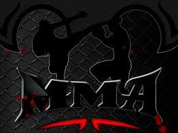 MMA: Everything You Need To Know About