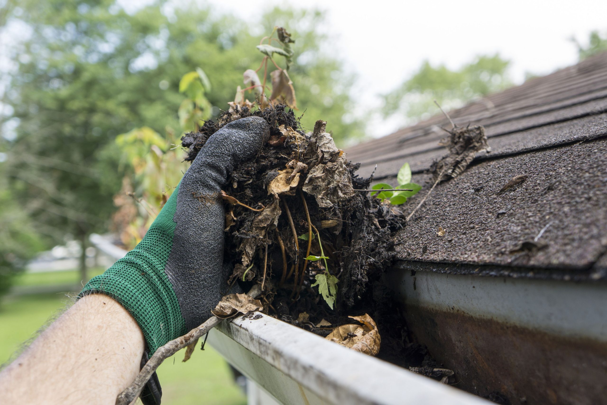 Gutter cleaning service and what you should look out for