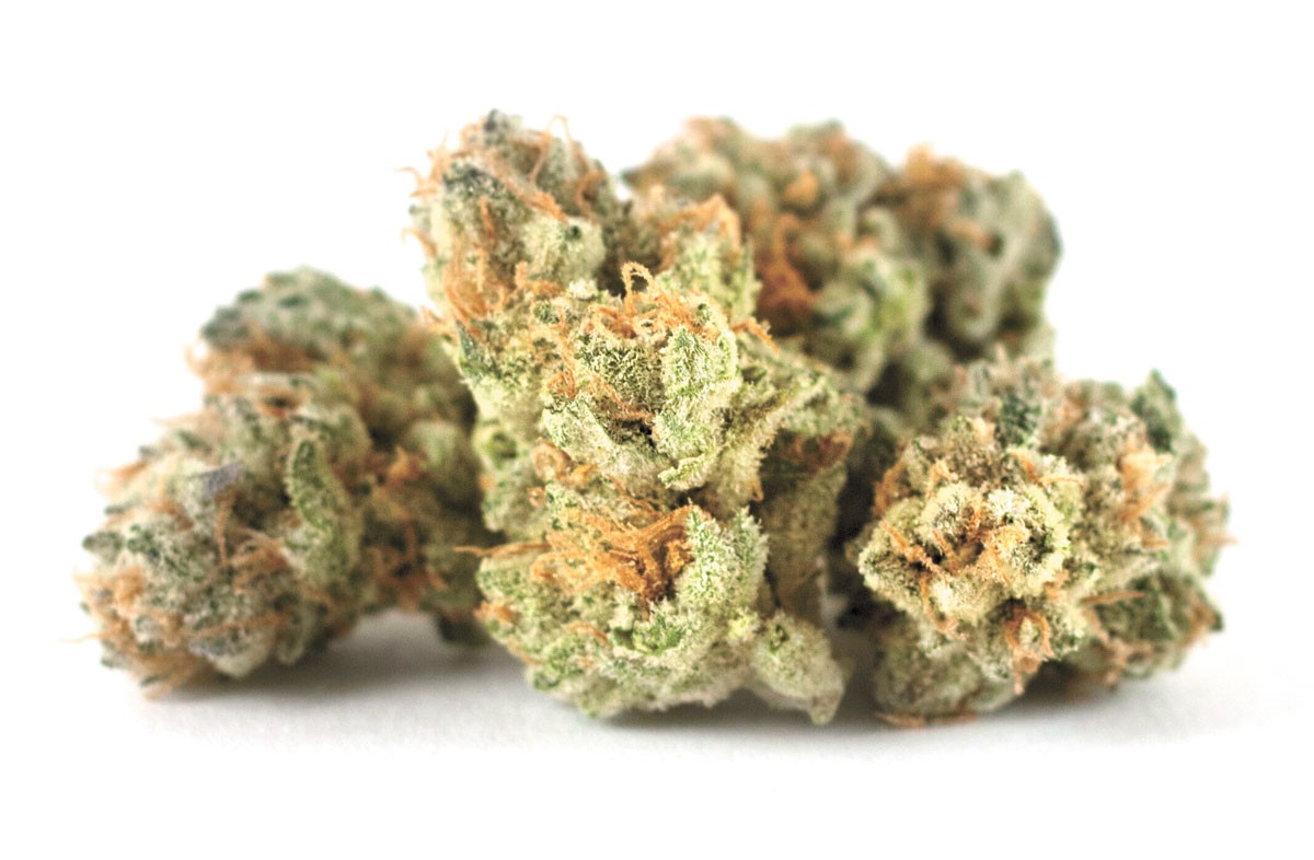 Buy Weed Online Canada- Read For More Info