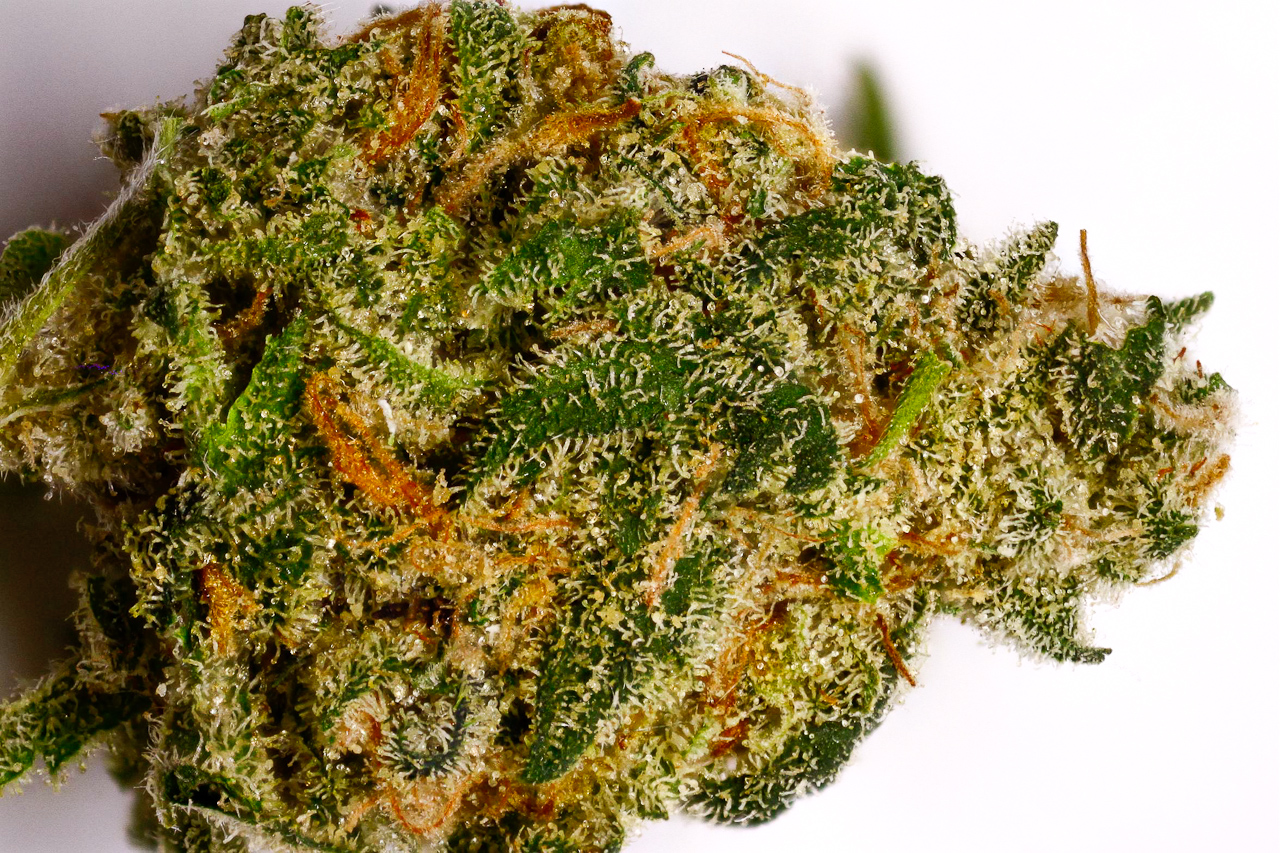 Meticulously learn about finest options to buy weed online