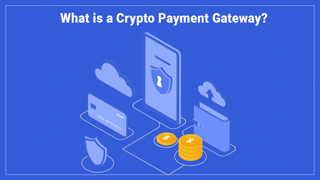 Why do businesses now prefer to use the crypto payment gateway?