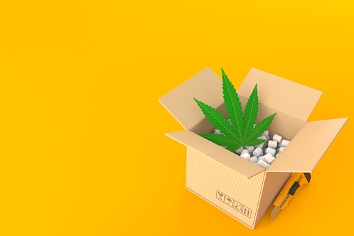 Order Weed Online: The Fastest Way