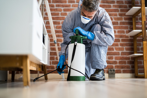 Some major advantages of hiring Nationwide pest control?