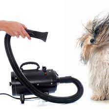 Utilizing a dog dryer blower lessens the chance of baldness