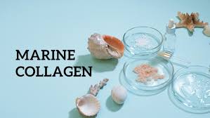 Rewards OfMarine Collagen