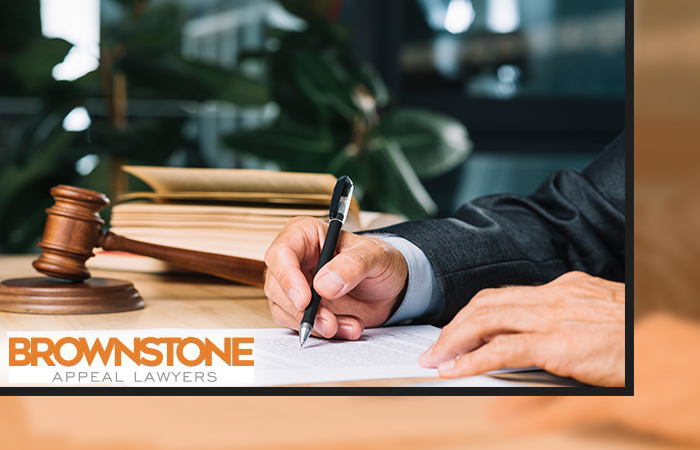 Top Reasons to Trust Experienced Appeal Lawyers for Your Appeal