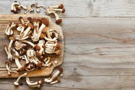 Discover the Best Mushroom Supplements in Canada