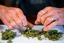 The Best Places to Buy Weed Online